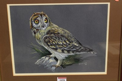 Lot 1058 - Kenneth Smith - Owl study, gouache, signed and...