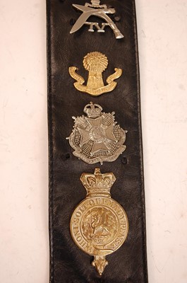 Lot 2186 - A collection of cap badges and insignia to...