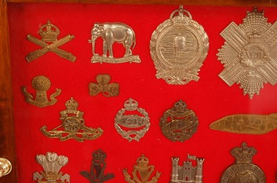 Lot 2221 - A collection of cap badges and insignia to...