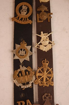 Lot 2189 - A collection of cap badges and insignia to...