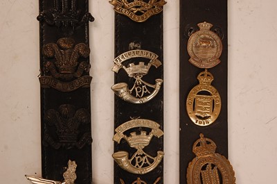 Lot 2201 - A collection of cap badges and insignia to...