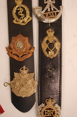 Lot 2205 - A collection of cap badges and insignia to...