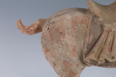 Lot 267 - * A Chinese hollow moulded terracotta horse,...