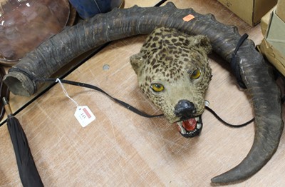 Lot 143 - A taxidermy leopard head, h.24cm; together...