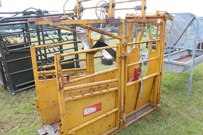 Lot 17 - Bateman Cattle Foot Trimming Crush with 3...
