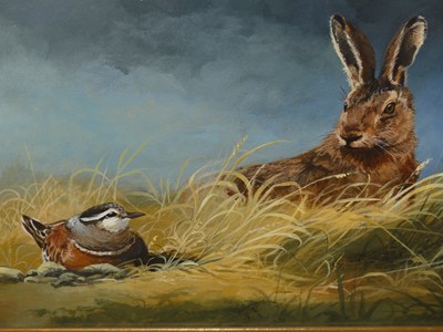 Lot 1045 - Dave Feather - Mountain Hare, oil on canvas,...