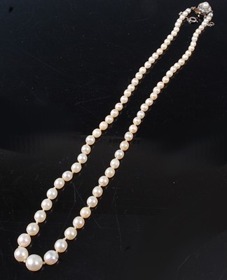 Lot 1098 - A cultured pearl single string necklace, the...
