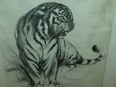 Lot 1025 - William Timym (1902-1990) - Tiger study,...