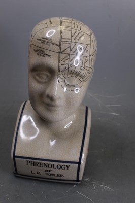 Lot 57 - A reproduction phrenology bust, h.30cm;...