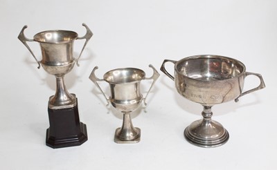 Lot 313 - A George V silver trophy cup, having twin...