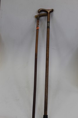 Lot 55 - An early 20th century walking cane, having a...