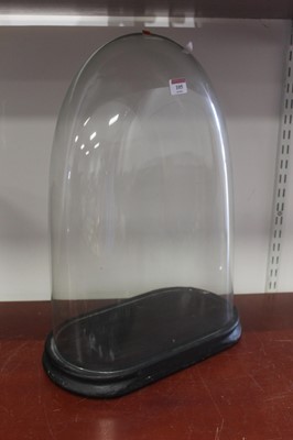 Lot 105 - A large Victorian glass dome, on ebonised...