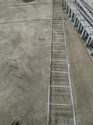 Lot 27 - 1 x Ladder