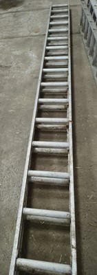 Lot 28 - 2 x Ladders