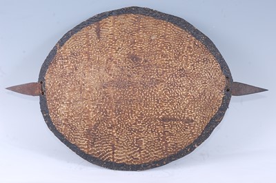 Lot 188 - A soft shell turtle shield, with a two pronged...