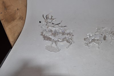 Lot 154 - Four various Swarovski cut crystal animal...