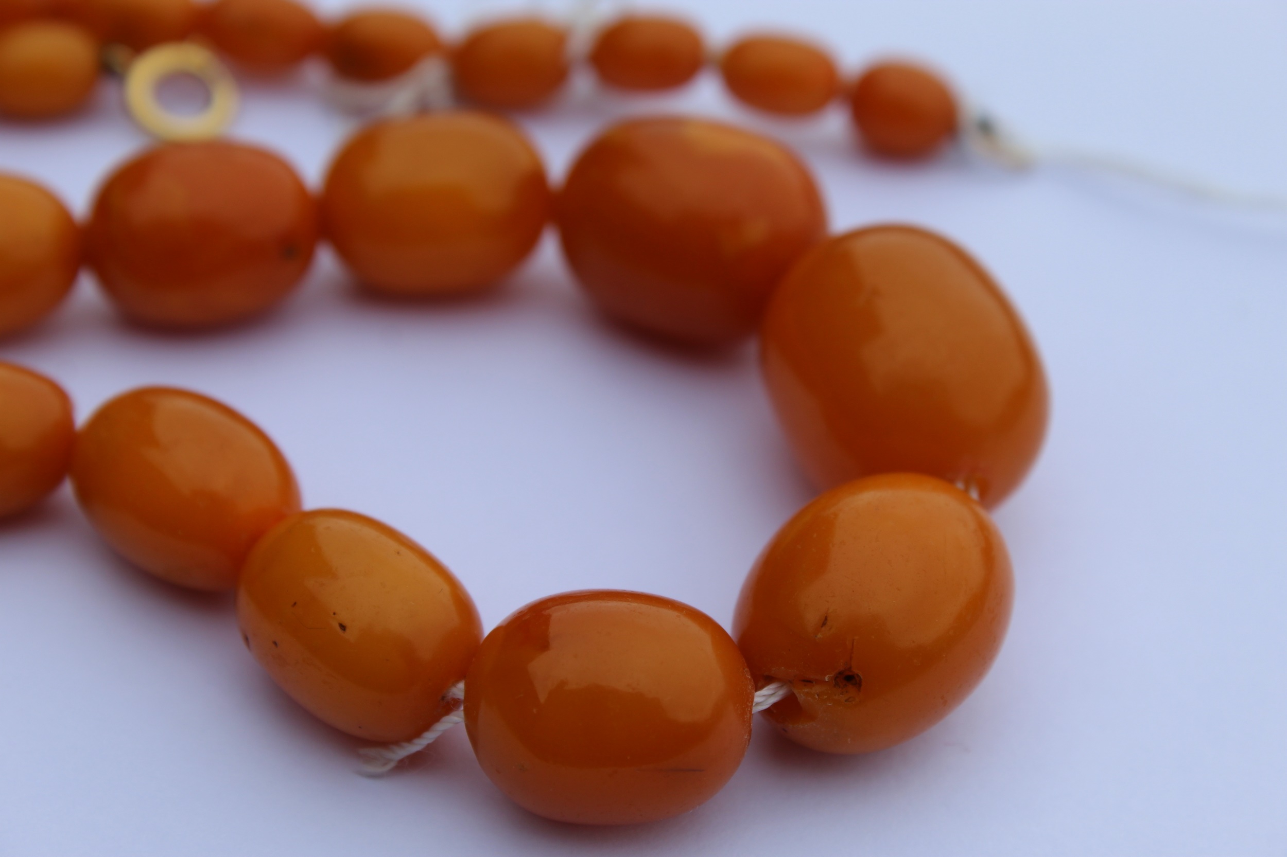 Amber Necklaces Made of Butterscotch Egg Yolk Cherry Baltic Amber.