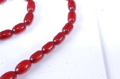 Lot 2599 - A single row of 63 cherry amber beads, strung...