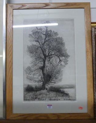 Lot 1003 - Alfred Blundell - The Black Poplar, etching,...