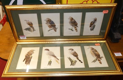 Lot 1108 - C H - Birds of Prey study, one in watercolour...