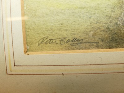 Lot 1067 - Peter Solly (b. 1934) - Elsing Mill and Spring...