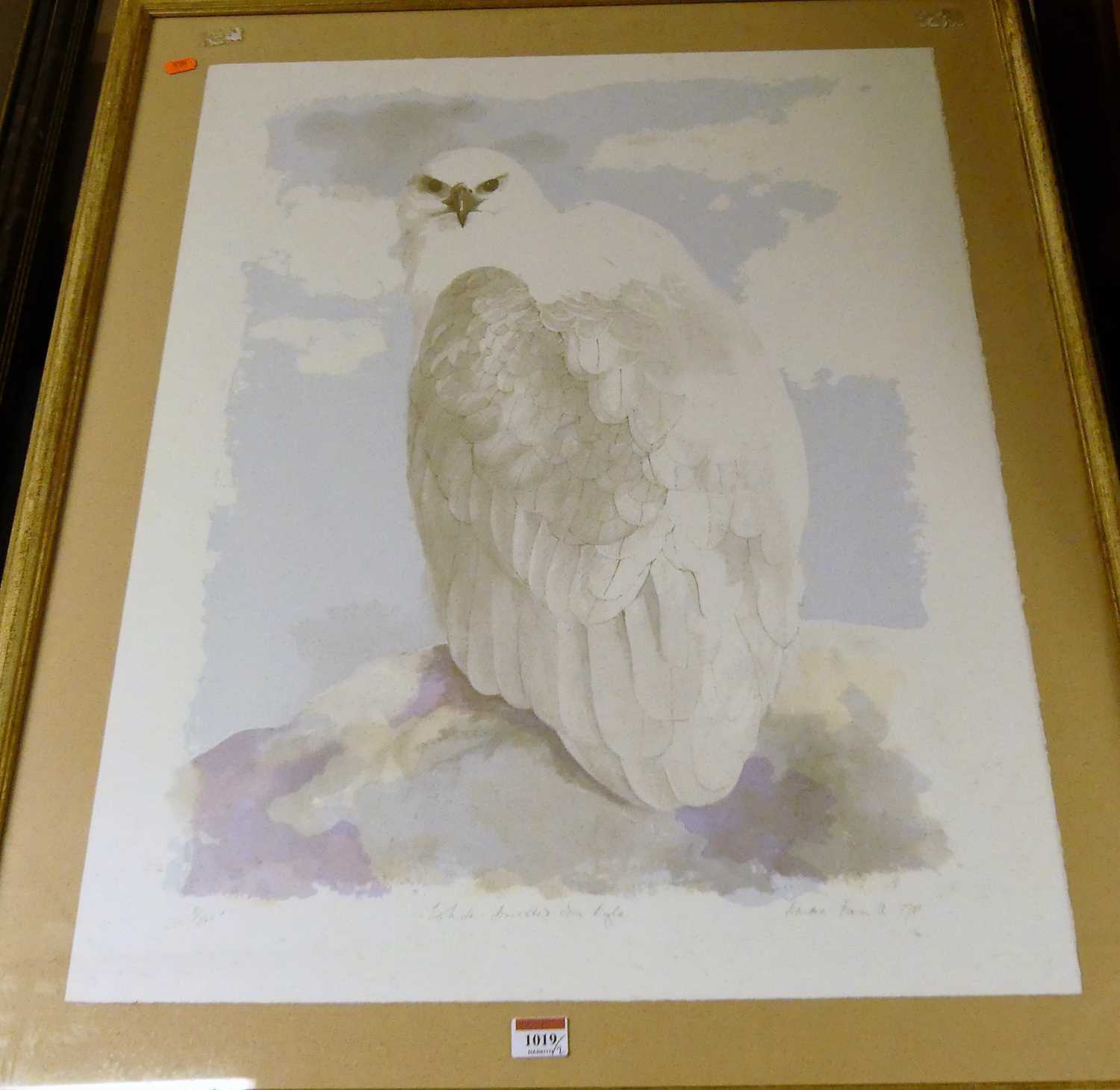Lot 1019 - Emma Faull - White breasted sea eagle,...