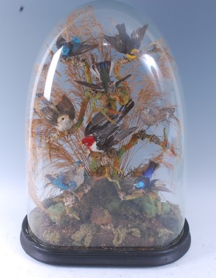 Lot 389 - A late Victorian taxidermy group of exotic...