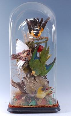 Lot 387 - A Victorian group of five exotic birds,...