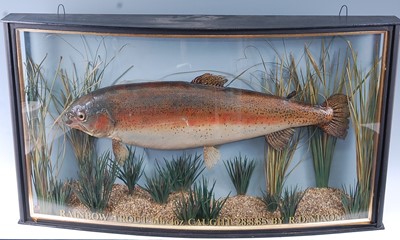 Lot 374 - A late 20th century taxidermy Rainbow Trout...