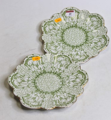 Lot 40 - A pair of late Victorian Foley China plates,...