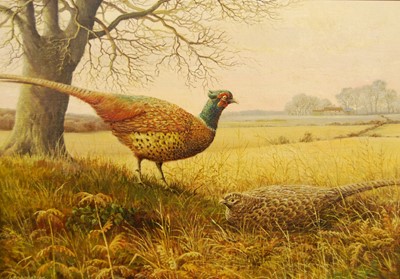 Lot 1041 - S.G. Anderson - Pheasants, oil on canvas,...