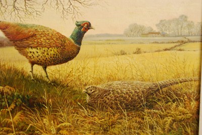 Lot 1041 - S.G. Anderson - Pheasants, oil on canvas,...