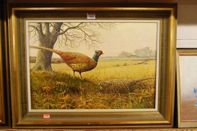 Lot 1041 - S.G. Anderson - Pheasants, oil on canvas,...