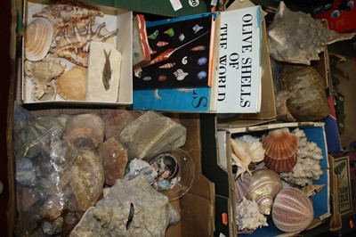 Lot 541 - Two boxes to include various rock crystals,...