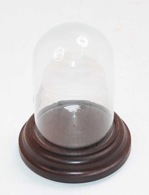 Lot 89 - A miniature glass display dome with wooden...