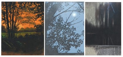 Lot 381 - Paul Thomas - Sunset through the trees,...