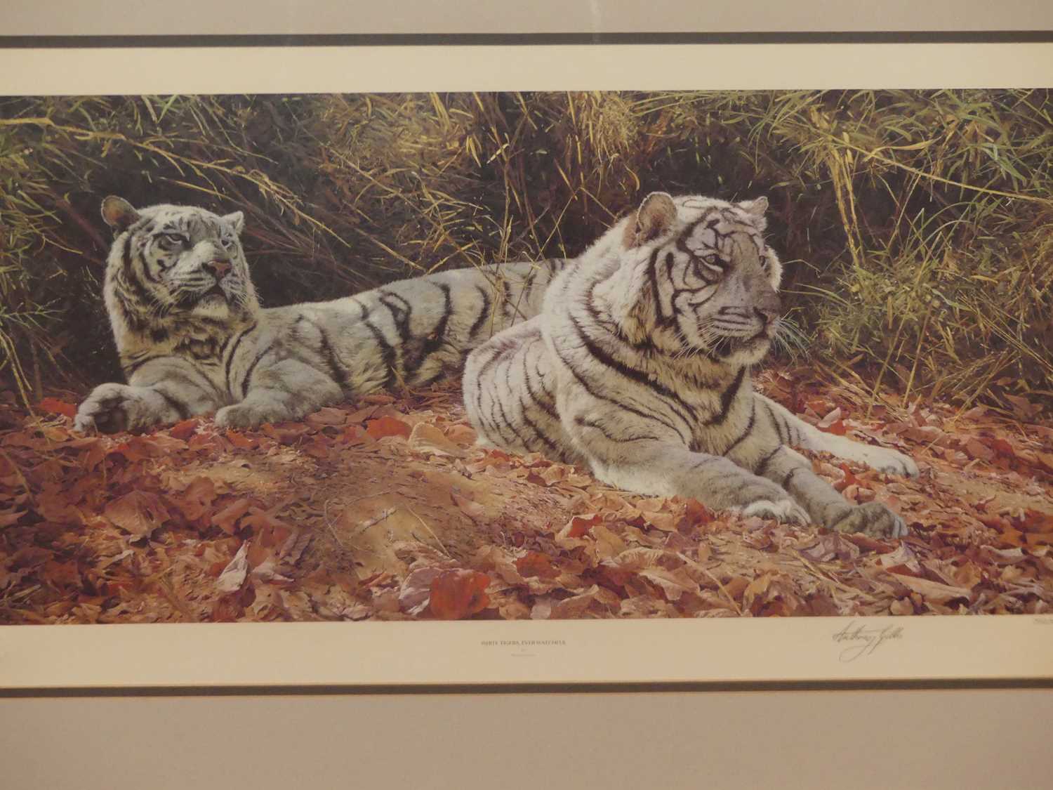 Lot 1012 - Anthony Gibbs (b.1951) - White tigers, Ever...