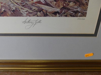 Lot 1012 - Anthony Gibbs (b.1951) - White tigers, Ever...