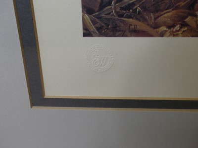 Lot 1012 - Anthony Gibbs (b.1951) - White tigers, Ever...
