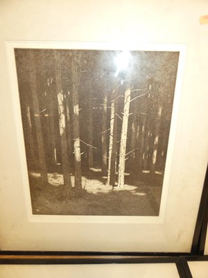 Lot 1044 - Alfred Hartley - An Essex stream, etching,...