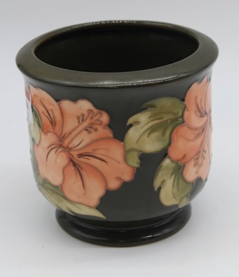Lot 244 - A Moorcroft hibiscus pattern vase, h.12.5cm