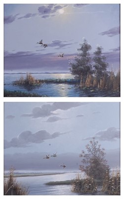 Lot 2390 - Gien Brouwer (b.1944) - Pair: Ducks in flight...