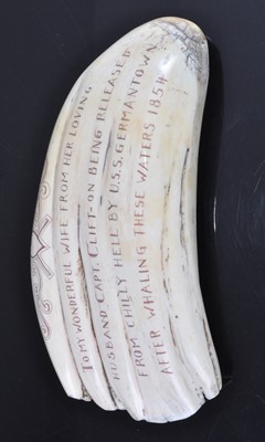 Lot 387 - A 19th century Sperm Whale tooth, scrimshaw...