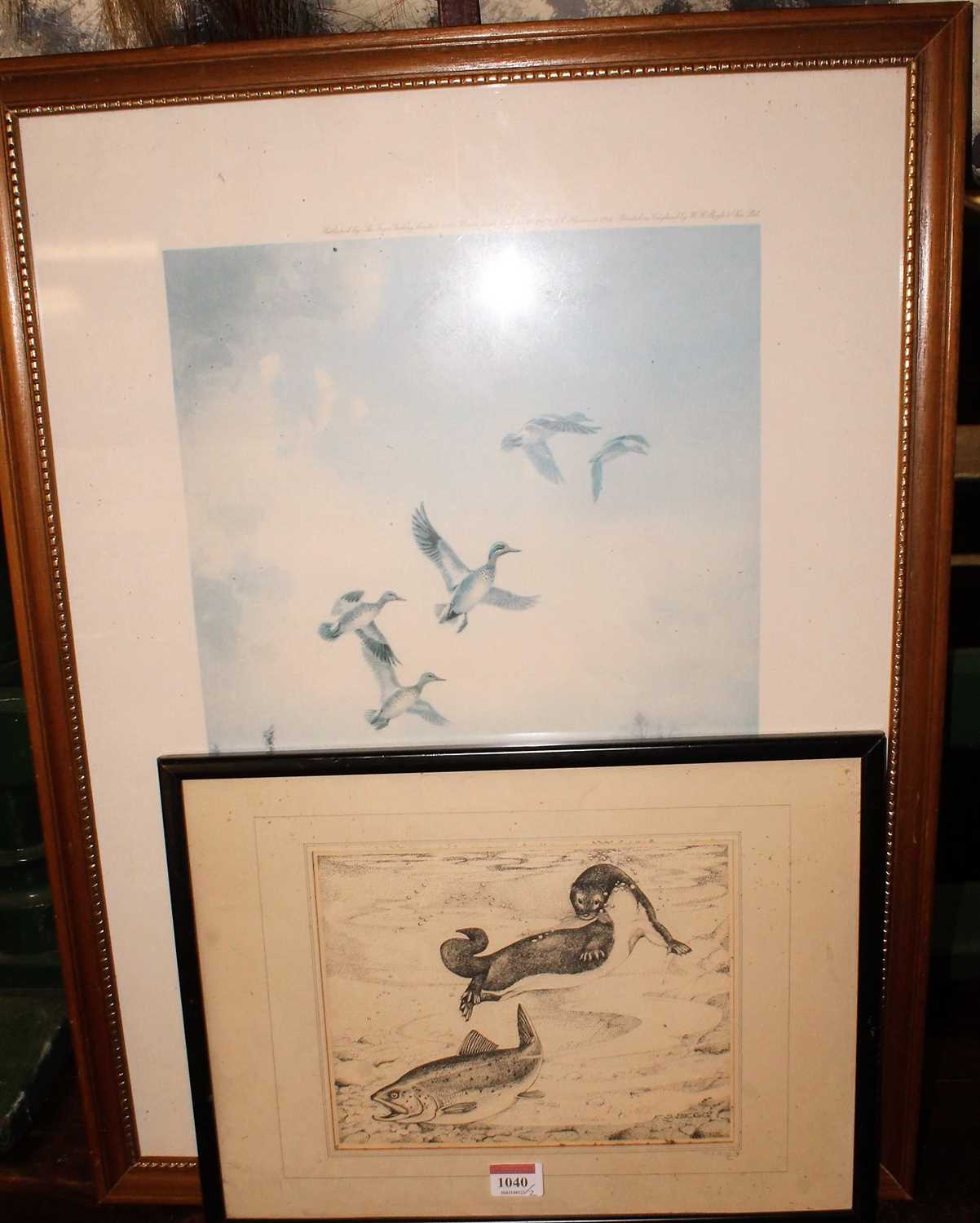 Lot 1040 - FS Begg - Otter and salmon, etching, pencil...