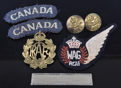 Lot 123 - A Canadian WW II Casualty group, to include...