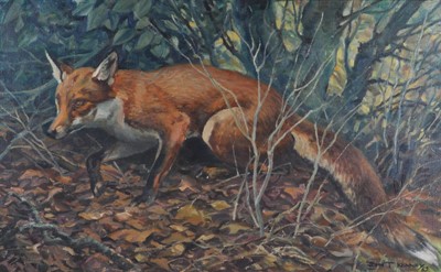 Lot 1344 - John Theodore Kenney (1911-1972) - A fox in...