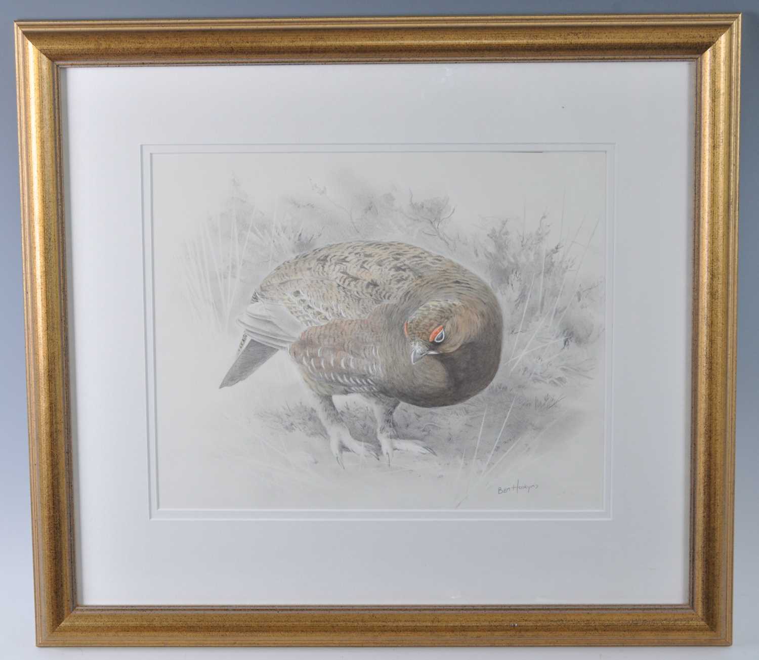 Lot 351 - Ben Hoskyns, (b.1963), Grouse, pencil and...