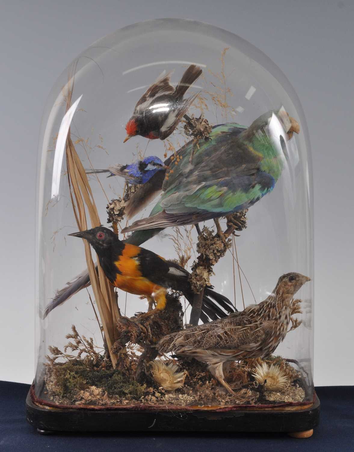 Lot 387 - A late Victorian taxidermy group of five...