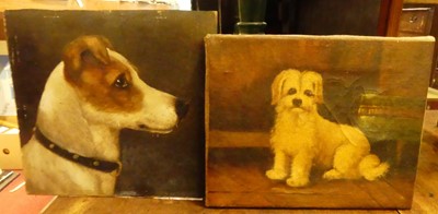 Lot 1112 - English school - head study of a foxhound, oil...