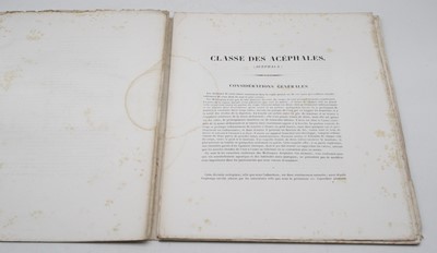 Lot 649 - Blanchard, Emile, l'Organisation du Régne...